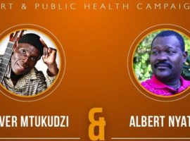 ZimHealth Annual Fundraising Gala 2017